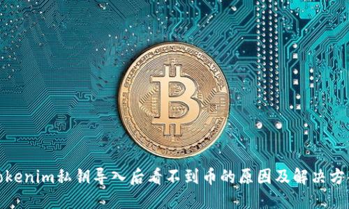 Tokenim私钥导入后看不到币的原因及解决方案